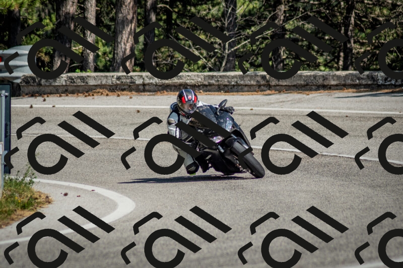 202506141610-DSC_9208_c2