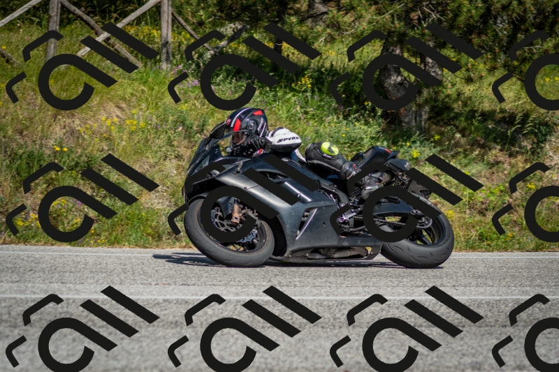 202506141610-DSC_9211_c2