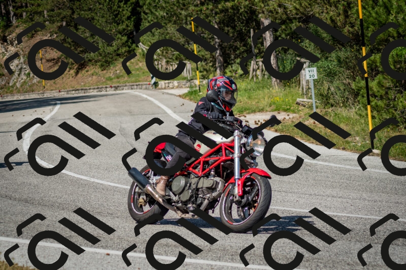 202506141610-DSC_9218_c2