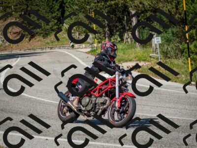 202506141610-DSC_9218_c2