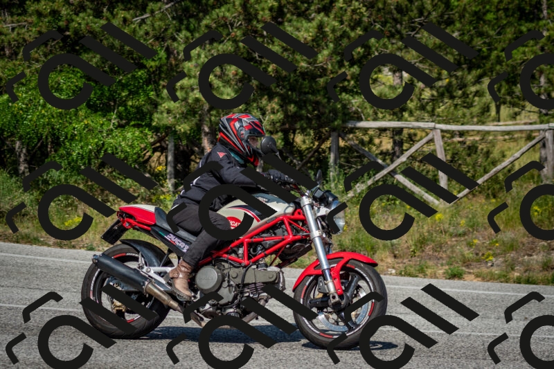 202506141610-DSC_9219_c2