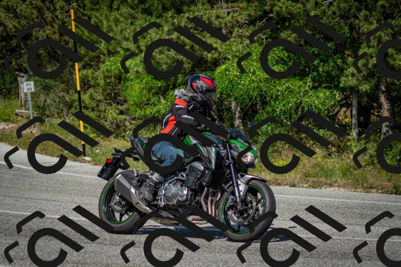 202506141610-DSC_9220_c2