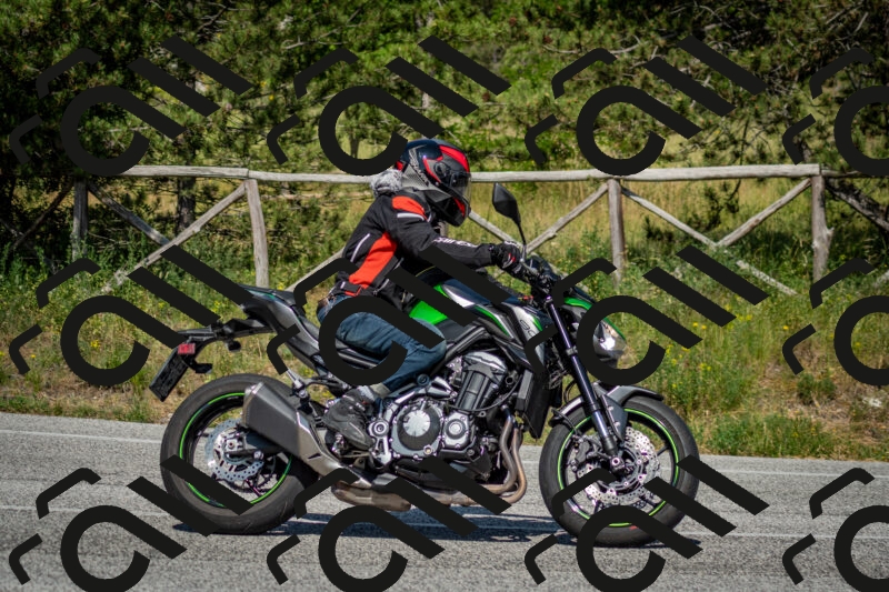 202506141610-DSC_9221_c2