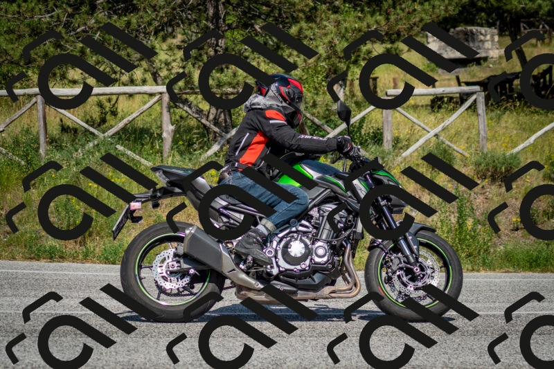 202506141610-DSC_9222_c2