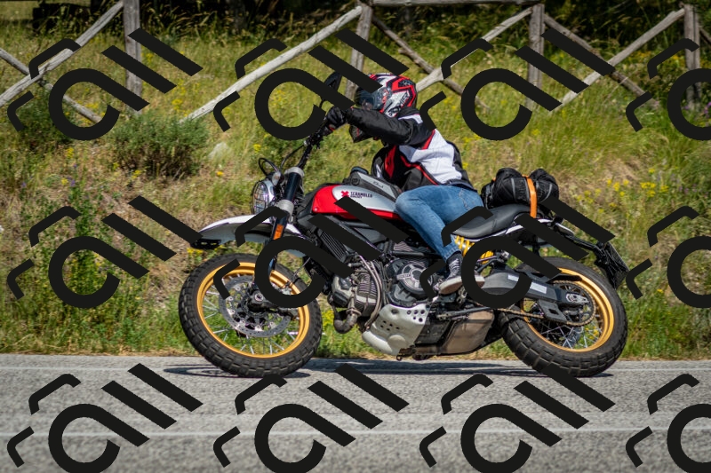 202506141611-DSC_9229_c2