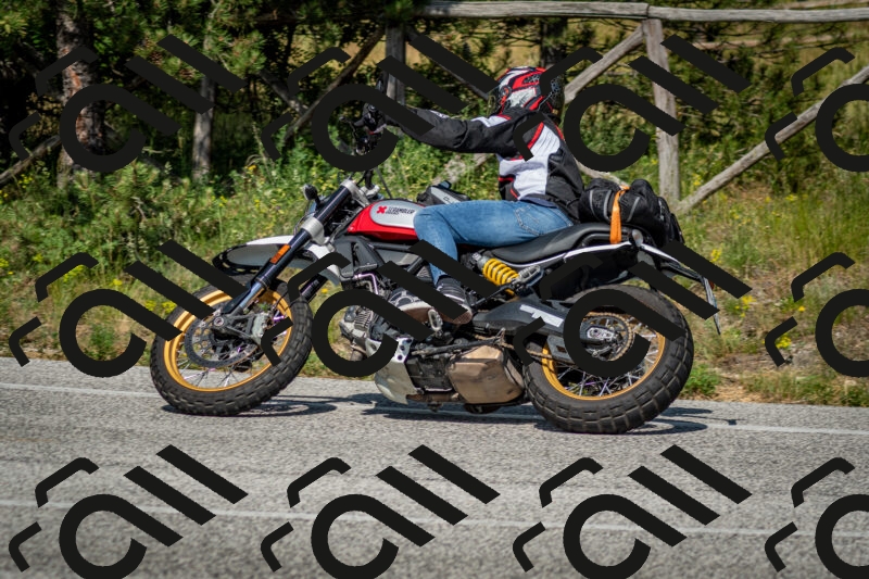 202506141611-DSC_9230_c2