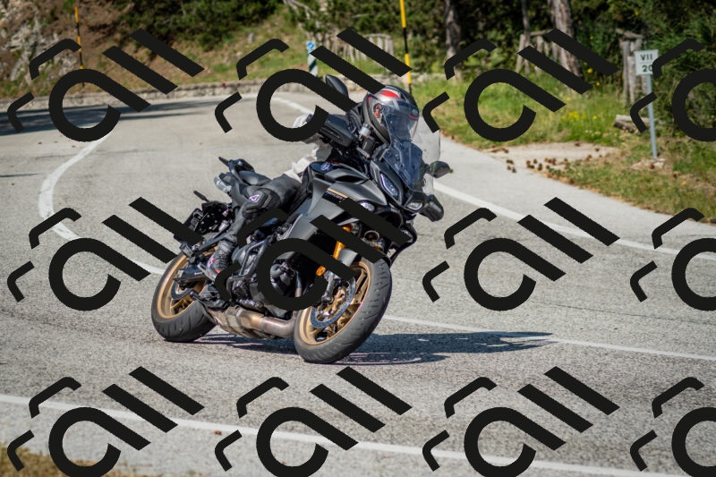 202506141612-DSC_9231_c2