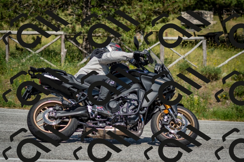 202506141612-DSC_9233_c2