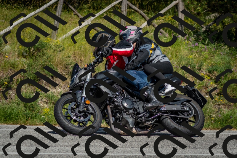 202506141612-DSC_9236_c2