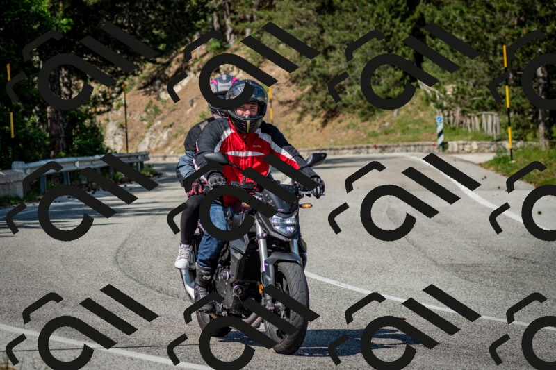 202506141613-DSC_9238_c2