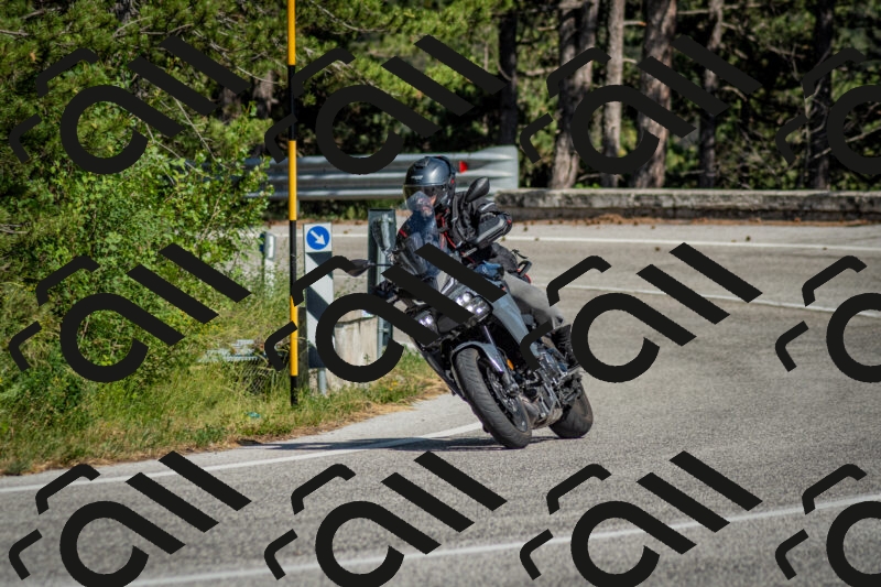 202506141614-DSC_9240_c2