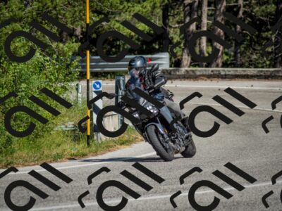 202506141614-DSC_9240_c2