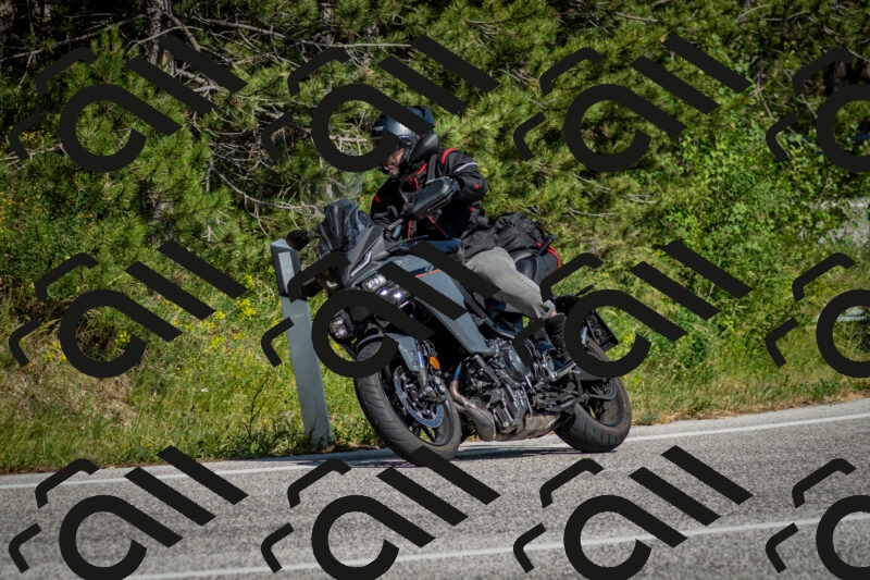 202506141614-DSC_9241_c2