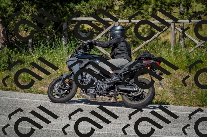 202506141614-DSC_9245_c2