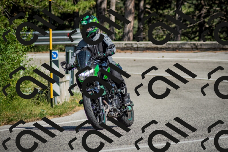 202506141615-DSC_9246_c2