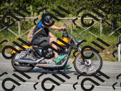 202506141616-DSC_9250_c2