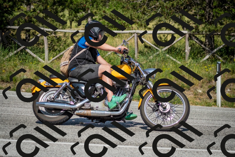 202506141616-DSC_9250_c2