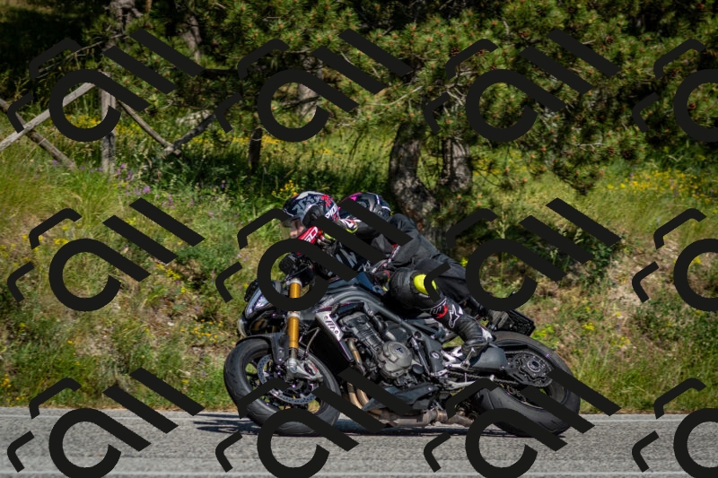 202506141616-DSC_9253_c2