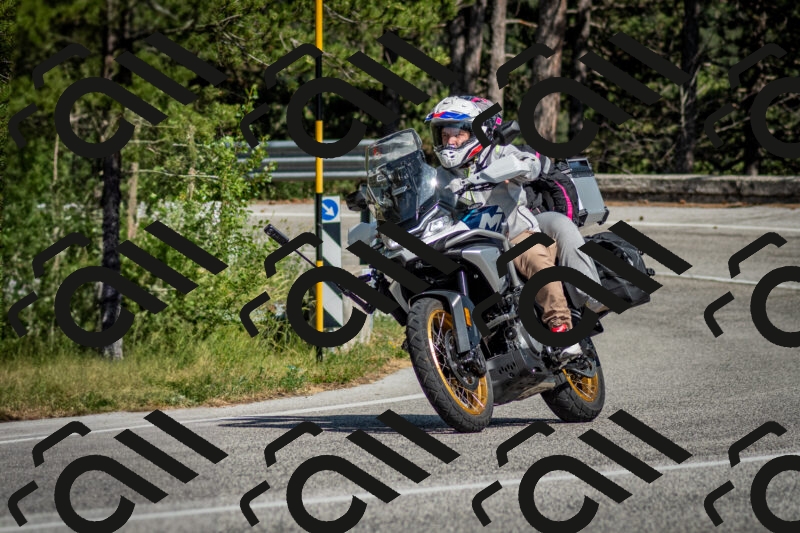 202506141616-DSC_9256_c2