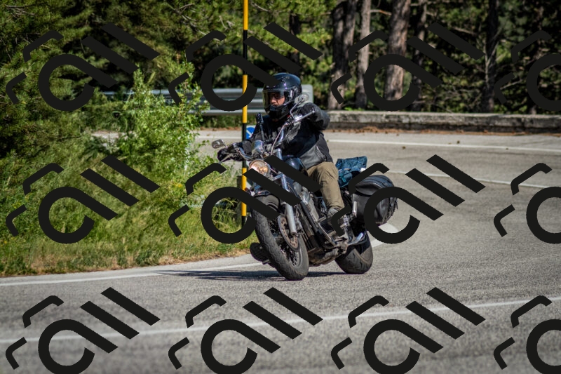 202506141617-DSC_9258_c2