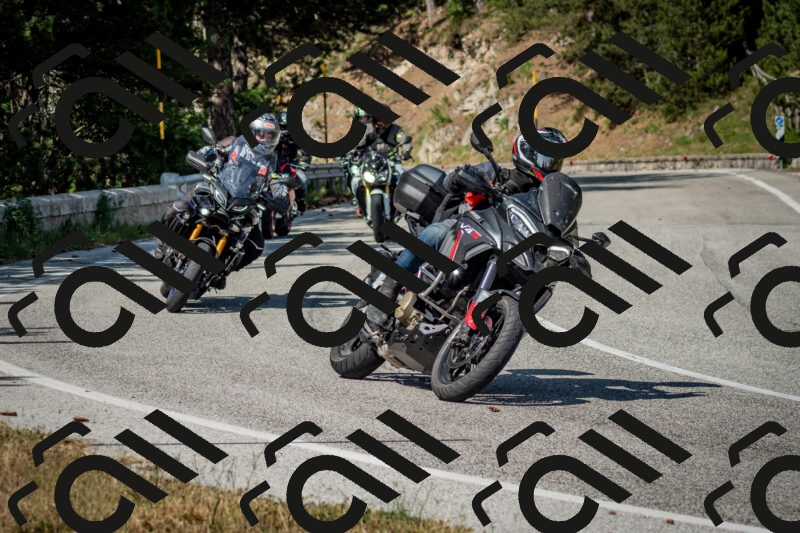 202506141617-DSC_9260_c2