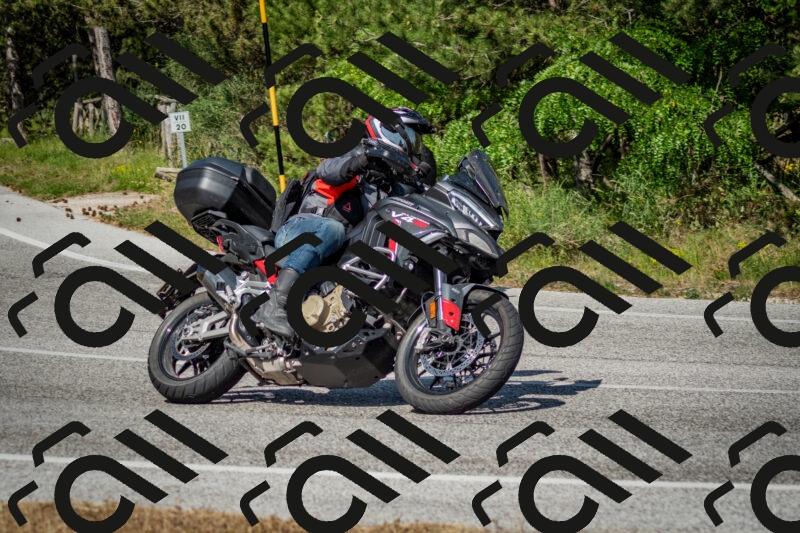 202506141617-DSC_9261_c2