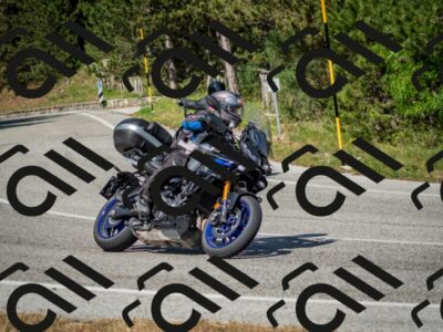 202506141617-DSC_9262_c2