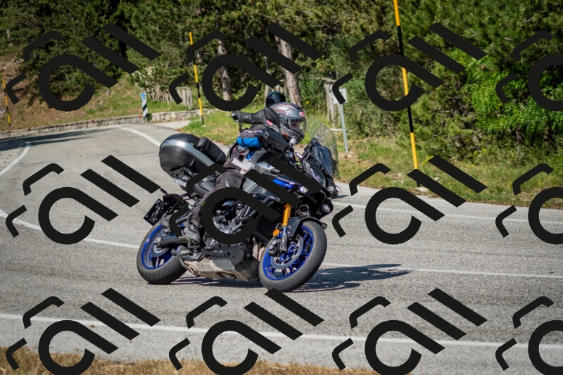 202506141617-DSC_9262_c2