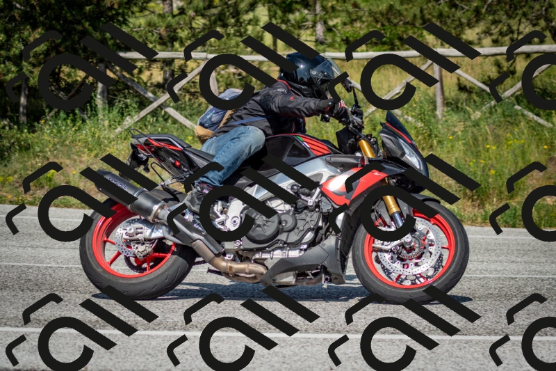 202506141617-DSC_9267_c2