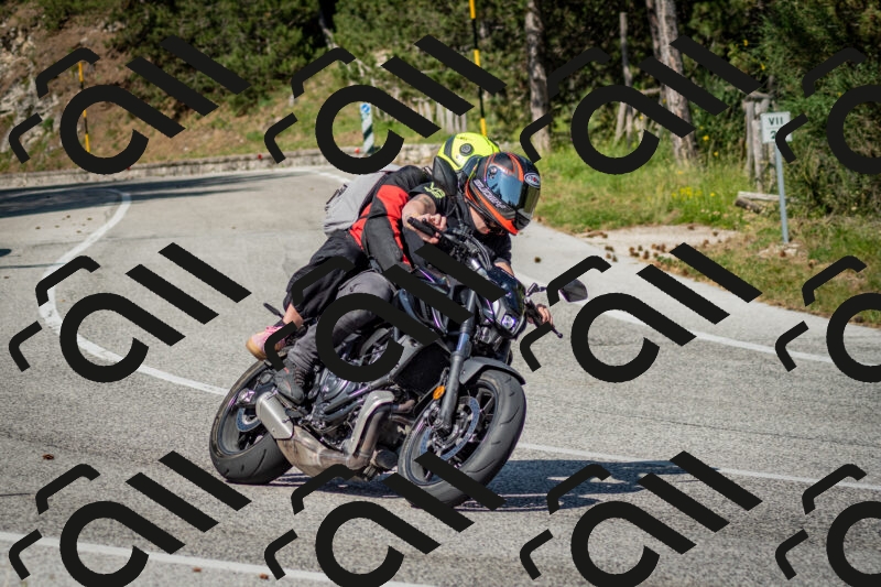 202506141617-DSC_9274_c2