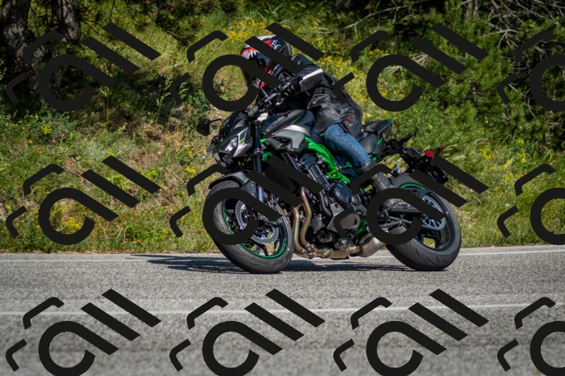 202506141621-DSC_9288_c2