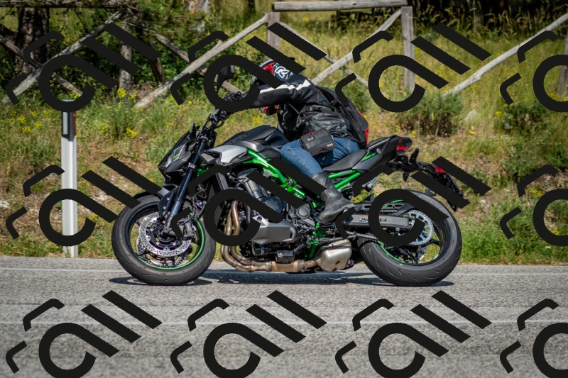 202506141621-DSC_9289_c2