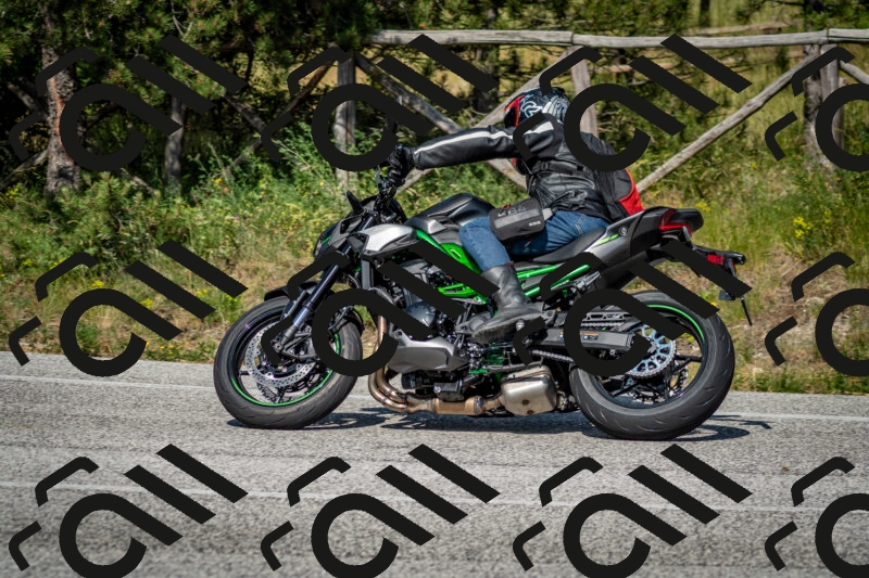 202506141621-DSC_9290_c2