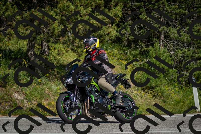 202506141621-DSC_9291_c2