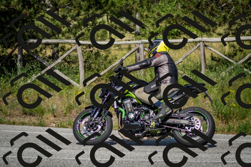 202506141621-DSC_9293_c2