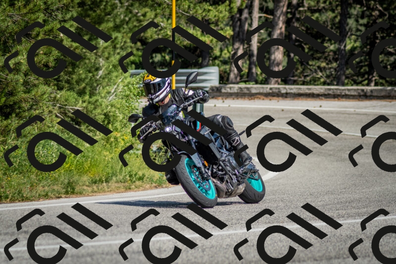 202506141624-DSC_9302_c2