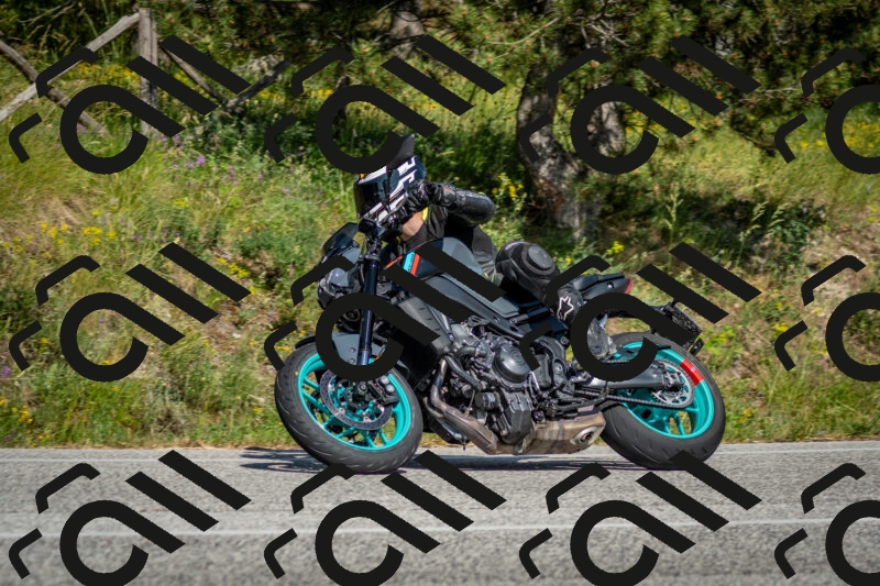 202506141624-DSC_9303_c2