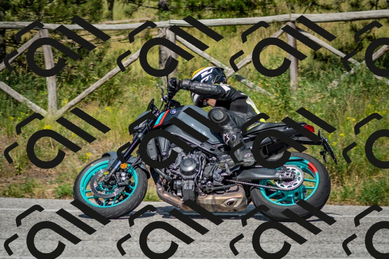 202506141624-DSC_9304_c2