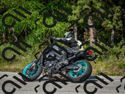 202506141624-DSC_9305_c2