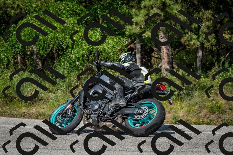 202506141624-DSC_9305_c2