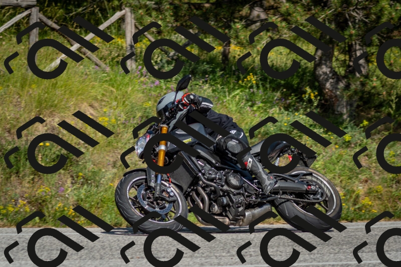 202506141624-DSC_9307_c2