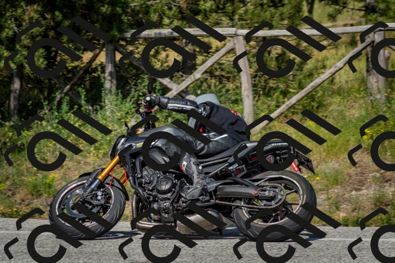 202506141624-DSC_9308_c2