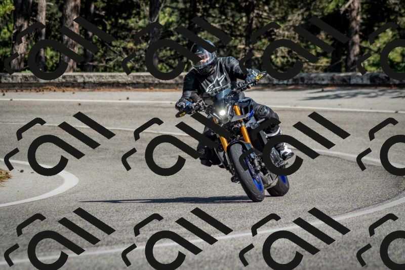 202506141624-DSC_9309_c2