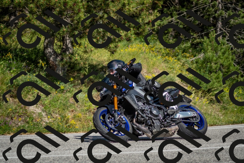 202506141624-DSC_9310_c2