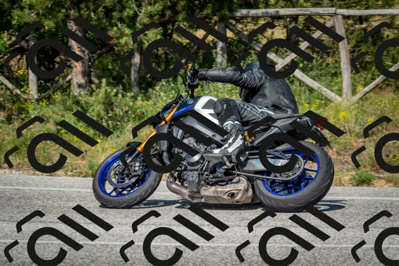 202506141624-DSC_9311_c2