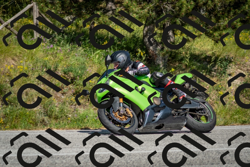 202506141624-DSC_9316_c2