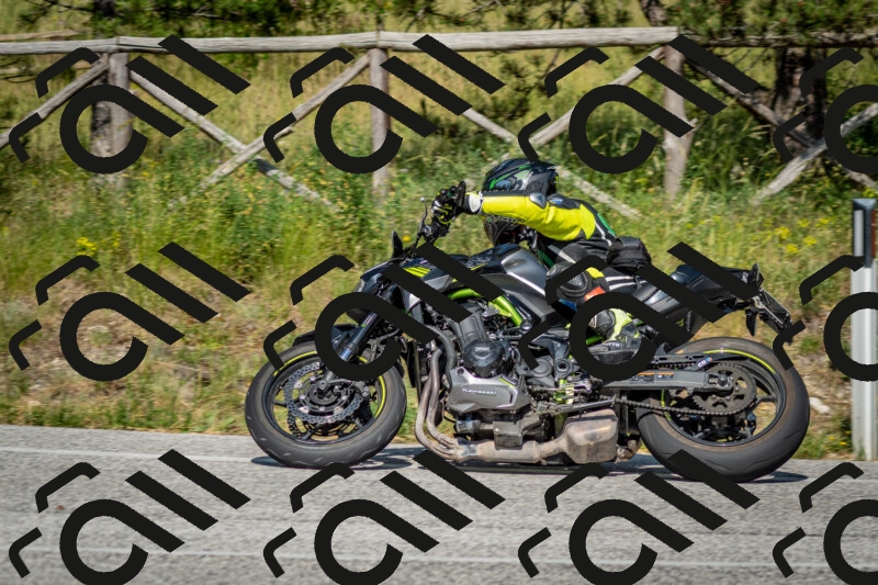 202506141624-DSC_9318_c2