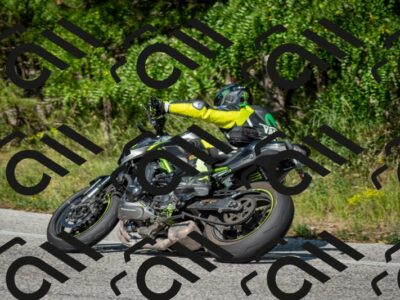 202506141624-DSC_9319_c2