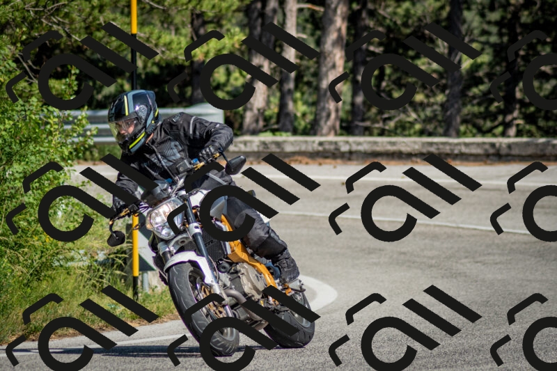 202506141625-DSC_9320_c2