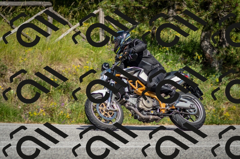 202506141625-DSC_9321_c2